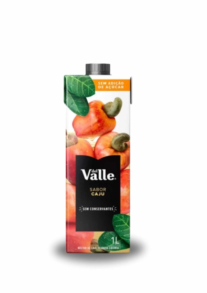 Suco Del Valle Caju 1L